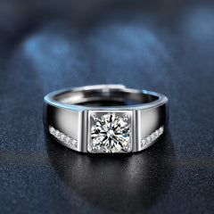Eternity Duo: Platinum-Plated Moissanite Couple Rings in Sterling Silver